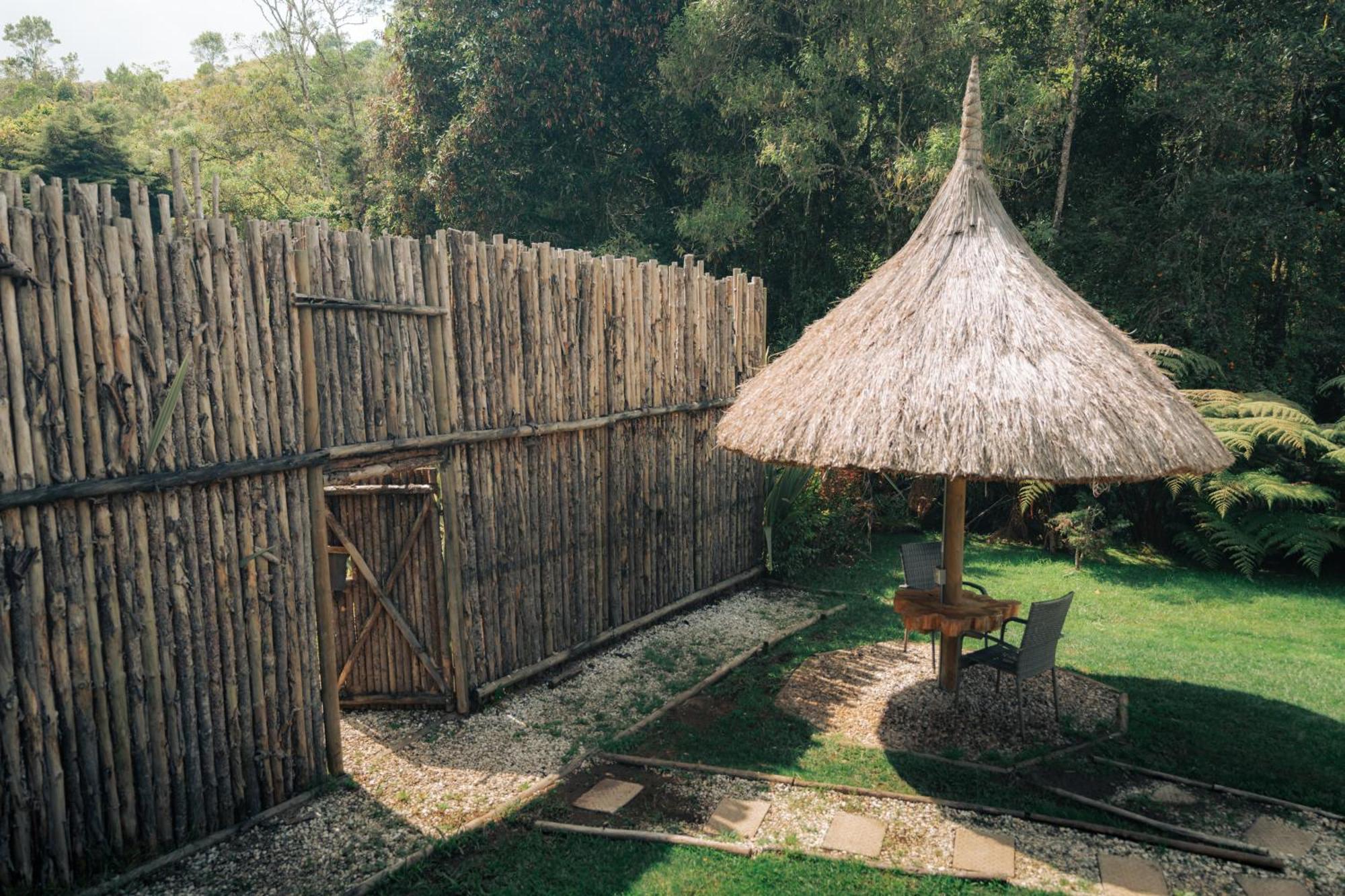 Bubblesky Glamping 15 Min From Medellin 호텔 리오네그로 외부 사진
