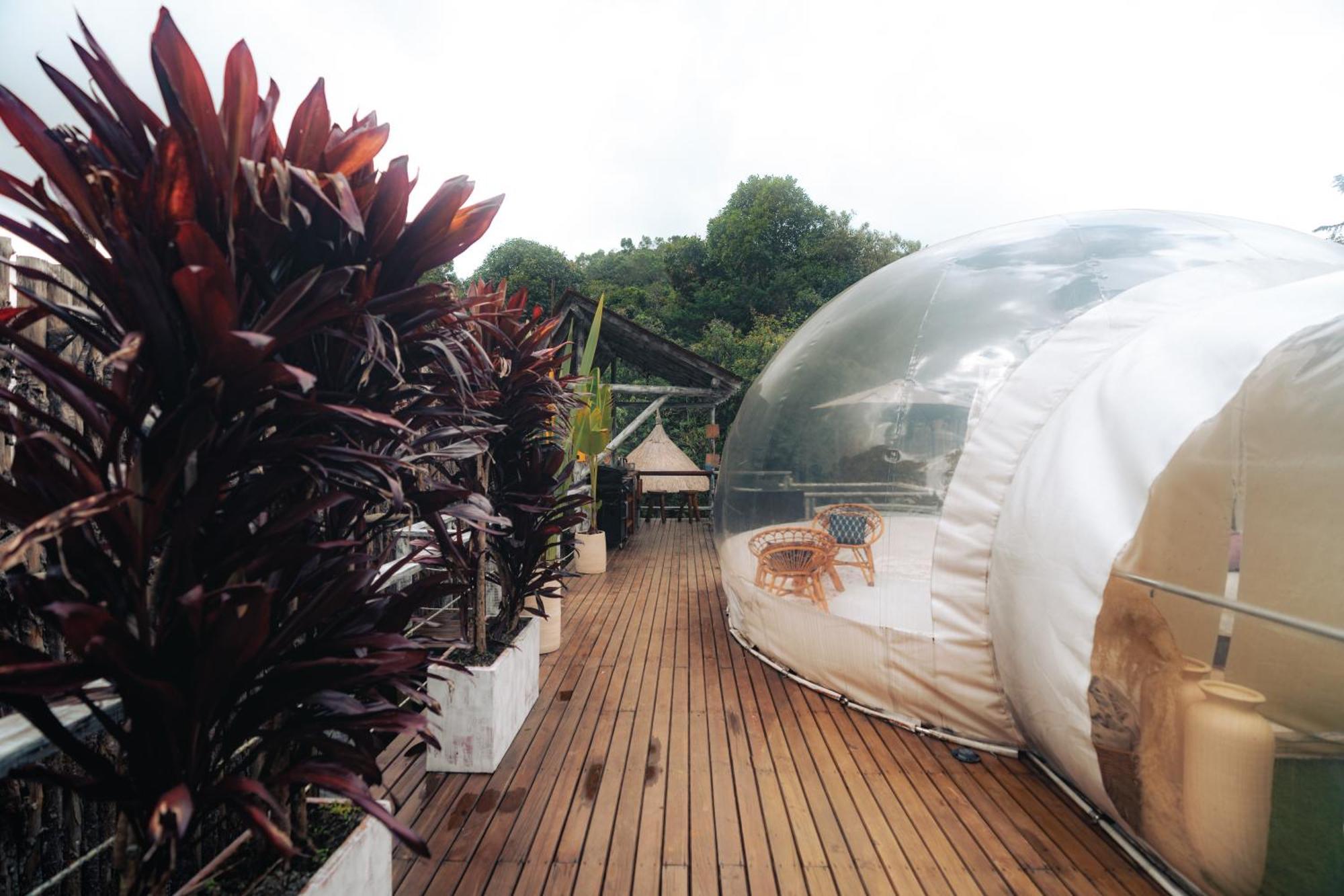 Bubblesky Glamping 15 Min From Medellin 호텔 리오네그로 외부 사진